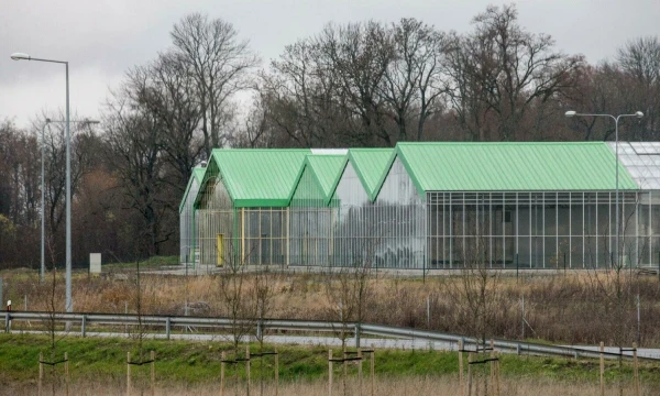 Juditos Grigelytės (VŽ) nuotr.