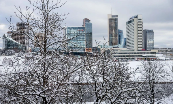 Juditos Grigelytės (VŽ) nuotr. Juditos Grigelytės (VŽ) nuotr.