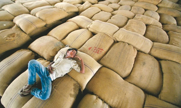 Rinkai stotis ant kojų trukdo ir augančios pasaulinės kviečių atsargos. Parivartan Sharma  („Reuters“ / „Scanpix“) nuotr.