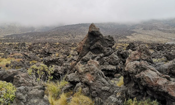 Pakeliui į Tongaryro kalnų perėją žemė nusėta sustingusiais lavos gabalais. Rimvydo Ragausko nuotr.