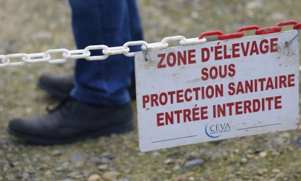 Regis Duvignau („Reuters“ / „Scanpix“) nuotr.