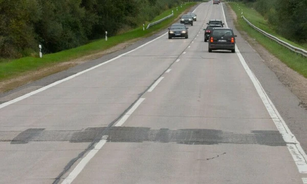 Juditos Grigelytės (VŽ) nuotr.