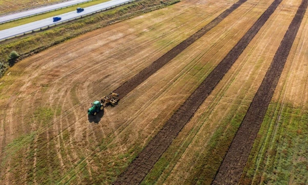 Vladimiro Ivanovo (VŽ) nuotr.