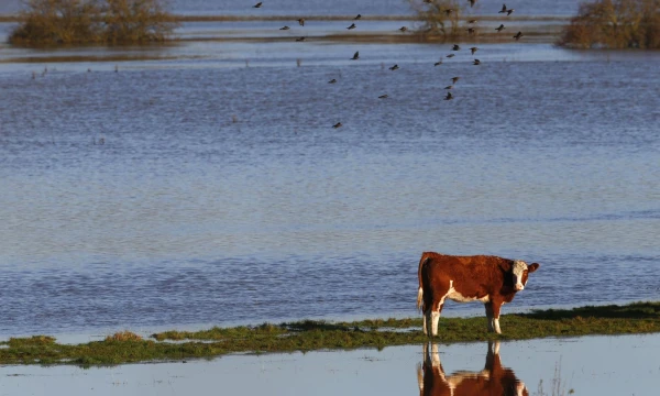 Darren Staples („Reuters“ / „Scanpix“) nuotr.
