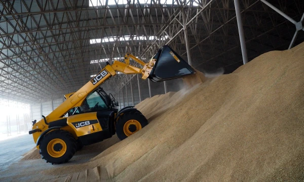 Vitalijaus Timkivo („Sputnik“ / „Scanpix“) nuotr.