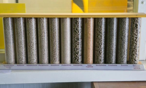 Juditos Grigelytės („Verslo žinios“) nuotr.