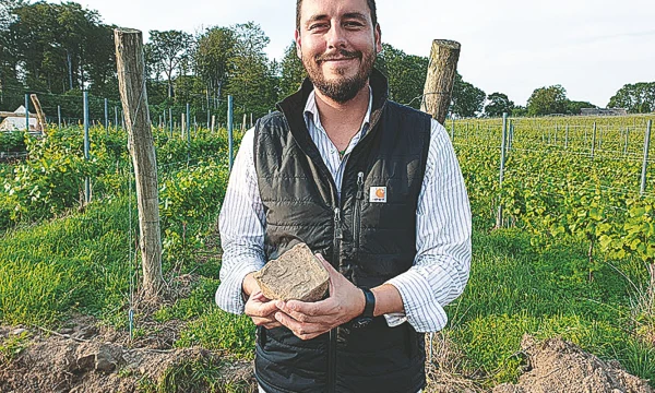 Jono Ivarssono vyninės „Arilds Vingard“ dirvožemis pilnas magminės kilmės riedulių, primenančių skalūną. Arūno Starkaus nuotr.