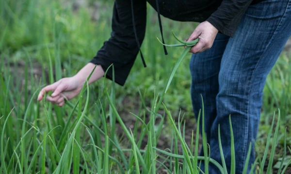 Juditos Grigelytės (VŽ) nuotr.