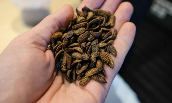  Vladimiro Ivanovo (VŽ) nuotr.