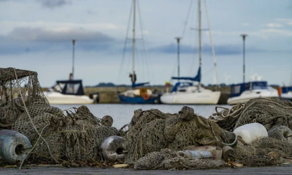 Algimanto Kalvaičio nuotr.