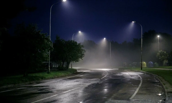 Vladimiro Ivanovo (VŽ) nuotr.