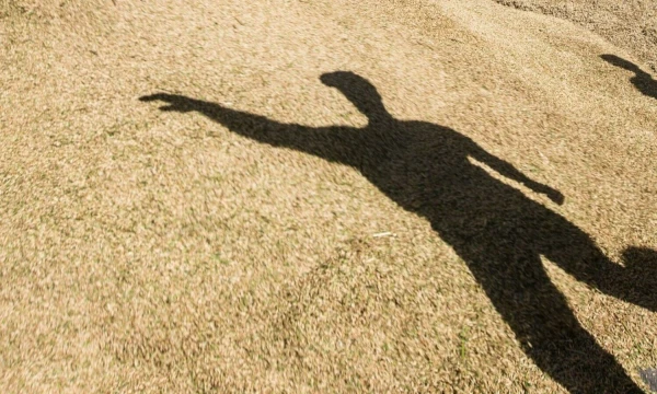 Juditos Grigelytės (VŽ) nuotr.