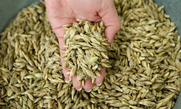 Juditos Grigelytės (VŽ) nuotr.