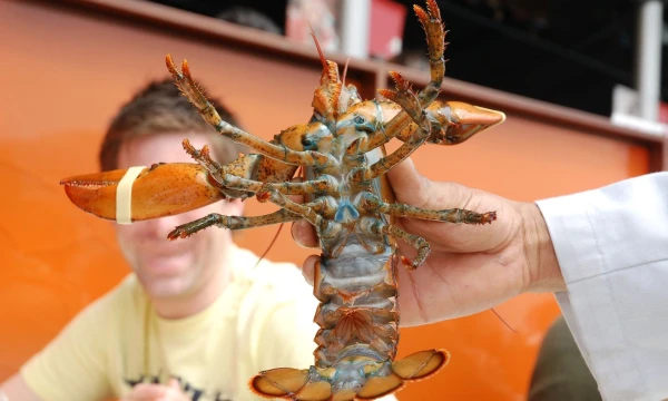 Ispanija, Barselona. Omaras. Aušros Barysienės nuotr.