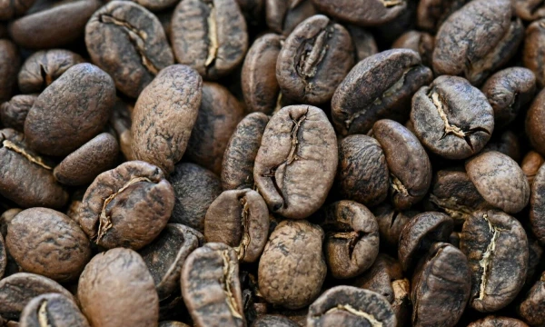 Luis Robayo (AFP / „Scanpix“) nuotr.