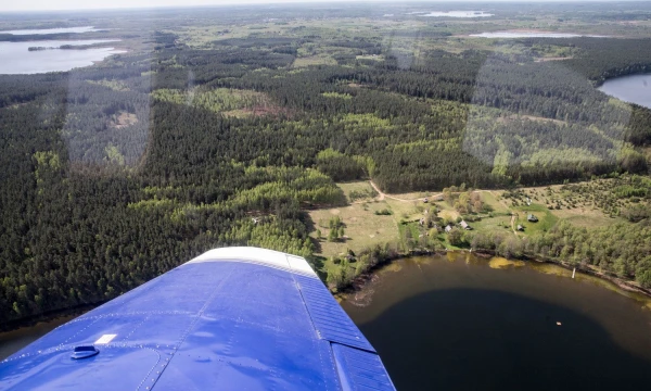 VĮ Valstybinių miškų urėdiją pagal turtą taps viena didžiausių valstybės valdomų įmonių: patikėjimo teise perduotų valdyti valstybinių miškų vertė siekia apie 1 mlrd. Eur.

Juditos Grigelytės (VŽ) nuotr.