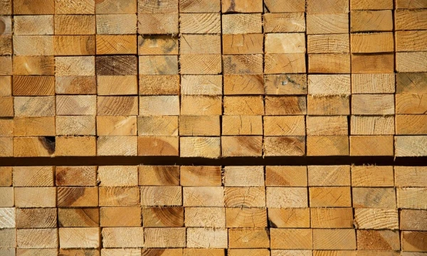 Vladimiro Ivanovo (VŽ) nuotr.