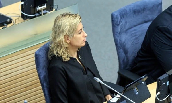 Mecenatystės įstatymo projektą Seimui pristatė kultūros ministrė Liana Ruokytė Jonsson. Vladimiro Ivanovo (VŽ) nuotr.