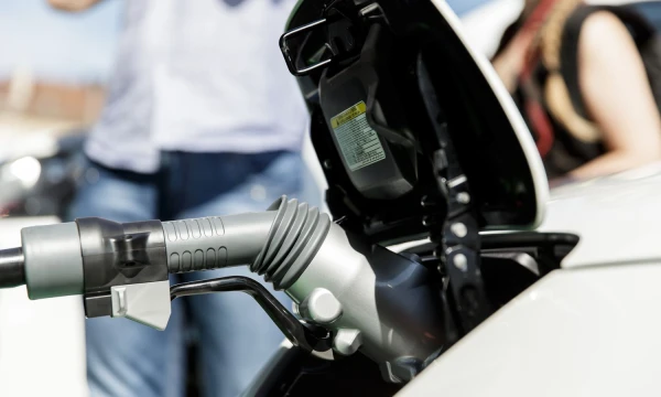 Vladimiro Ivanovo (VŽ) nuotr.