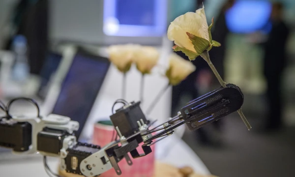 Lietuva sugeba kurti neblogas strategijas, tačiau dabar svarbiausia, kad būtų pakankamai gebėjimų ir valios jas tinkamai įgyvendinti. Vladimiro Ivanovo (VŽ) nuotr.