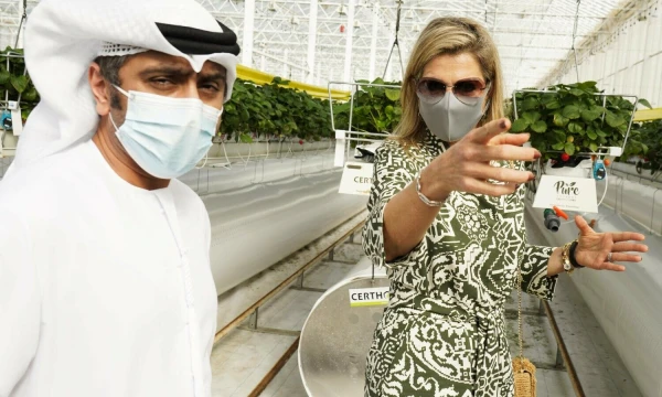 Nyderlandų karalienė Maxima lankosi „Pure Harvest“ žemuogių šiltnamyje Abu Dabyje 2020 m. Jono Gabrello (AP / „Scanpix“) nuotr.