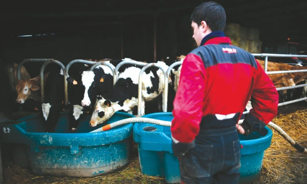 Pieno ūkiams atsilaikyti leidžia veiklos diversifikavimas, perdirbimas ir efektyvumo didinimas. 
Stephane Mahe („Reuters“ / „Scanpix“) nuotr. 