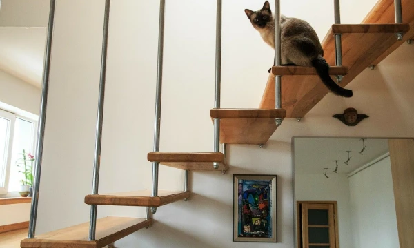 Vladimiro Ivanovo (VŽ) nuotr.