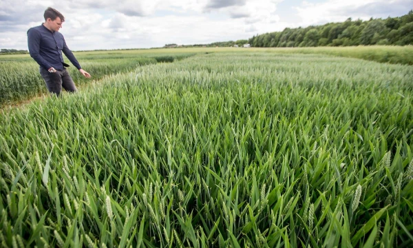 Juditos Grigelytės (VŽ) nuotr.