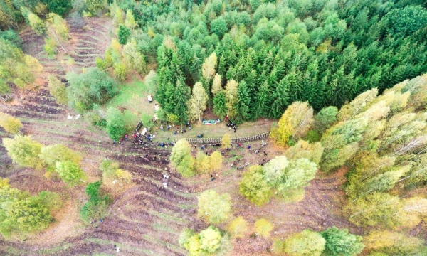 Valstybinių miškų urėdijos darbuotojai kartu su visuomene sodina ąžuolų giraitę Karalgiryje.

