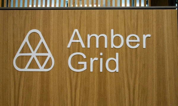 Amber Grid. Vladimiro Ivanovo (VŽ) nuotr.