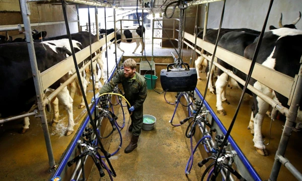 Stephane Mahe („Reuters“ / „Scanpix“) nuotr. 