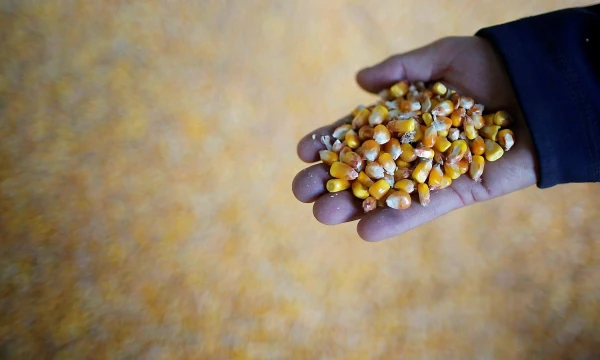 Stephane Mahe („Reuters“ / „Scanpix“) nuotr.