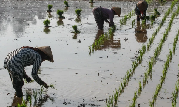 Algi Febri Sugita („Zuma“ / „Scanpix“) nuotr.