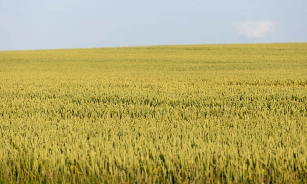 Juditos Grigelytės (VŽ) nuotr.
