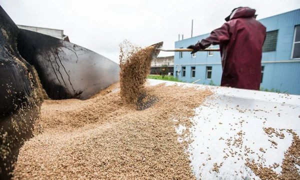 Juditos Grigelytės (VŽ) nuotr.