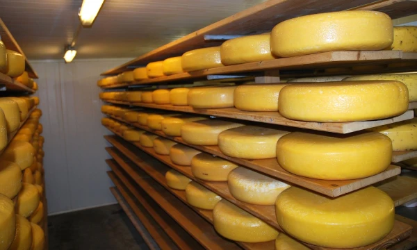 Arūno Milašiaus nuotr.