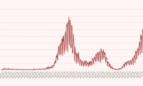 Koronaviruso statistika Lietuvoje. VŽ infografikas.