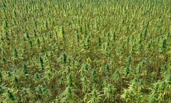 Lino Butkaus (VŽ) nuotr.