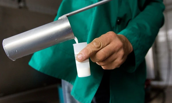 Juditos Grigelytės (VŽ) nuotr.