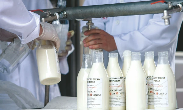 Nors pieno Lietuvoje pagaminama per daug, perdirbėjai jo perka ir Latvijoje, ir Estijoje. Juditos Grigelytės (VŽ) nuotr.