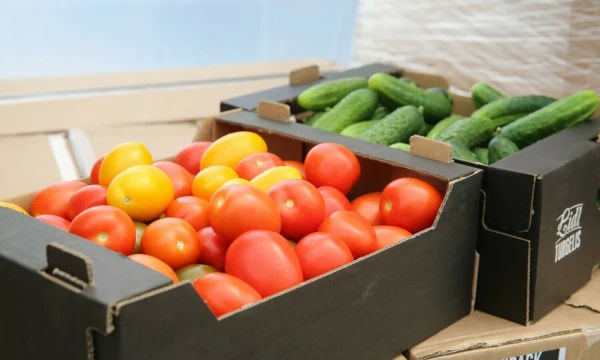 Vladimiro Ivanovo (VŽ) nuotr.