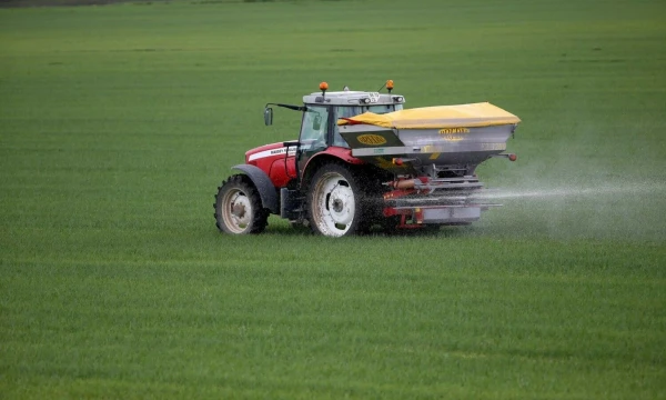 Algimanto Barzdžiaus nuotr.