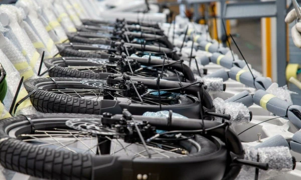 Vladimiro Ivanovo (VŽ) nuotr.