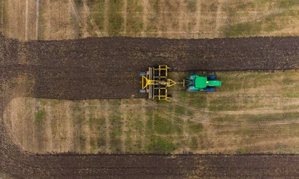 Vladimiro Ivanovo (VŽ) nuotr.