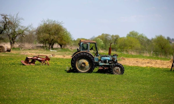Vladimiro Ivanovo (VŽ) nuotr.