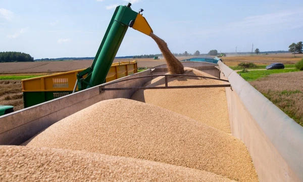 Vladimiro Ivanovo (VŽ) nuotr.