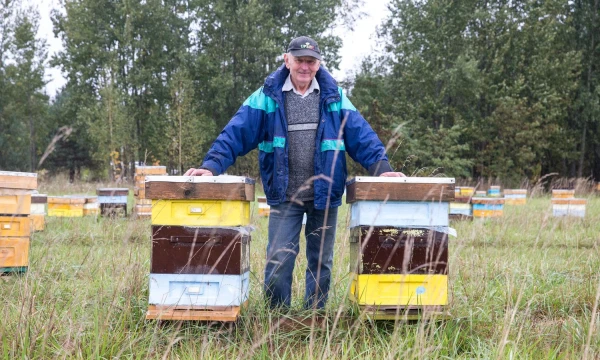 Bitininkas Aleksandras Kavaliauskas Panevėžio rajone turi daugiau kaip 600 bičių avilių. Juditos Grigelytės (VŽ) nuotr.