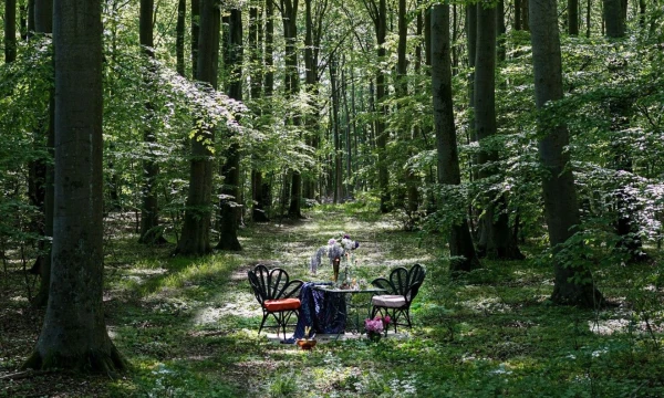 Restoranas „Nowhere“ Švedijoje. Oddbird.com nuotr. 