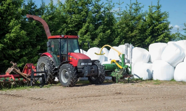 Vladimiro Ivanovo (VŽ) nuotr.
