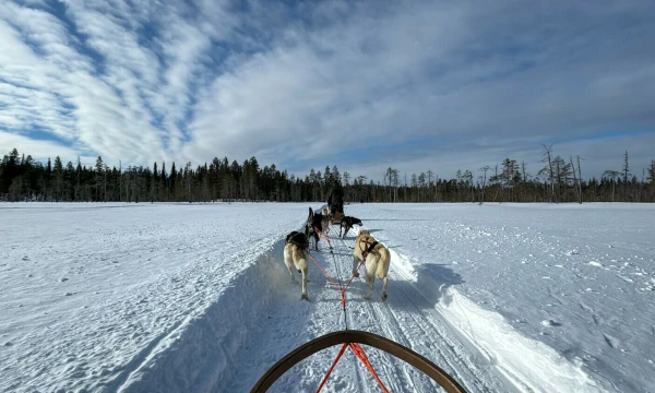 Užpoliarėje. Aušros Barysienės nuotr.